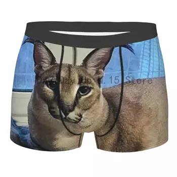 Zabloing Голяма дискета, долни гащи с каракалевым котка, дишащи бикини, мъжко бельо, секси къси панталони, гащи-боксерки